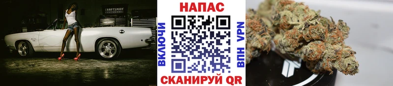 Купить Елизаветинская COCAIN  Альфа ПВП  Амфетамин  Гашиш 