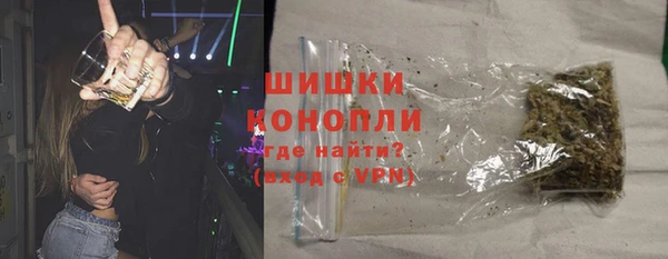 PSILOCYBIN Богородицк