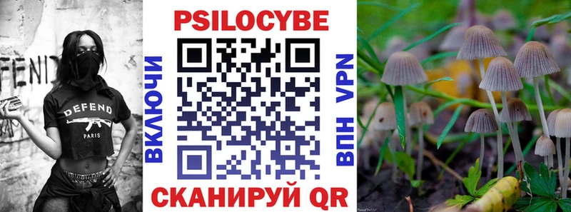Псилоцибиновые грибы прущие грибы где продают наркотики Елизаветинская